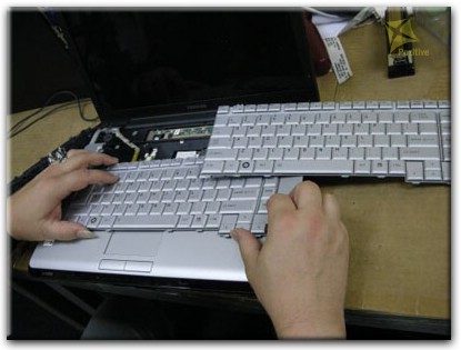Ремонт клавиатуры на ноутбуке Toshiba в Нижнем Новгороде