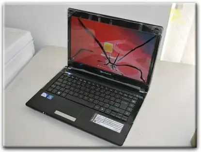 Замена матрицы Packard Bell в Нижнем Новгороде